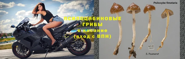 не бодяженный Алзамай