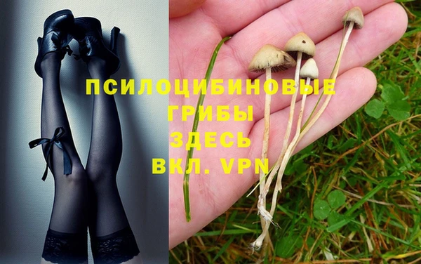 mix Алексеевка
