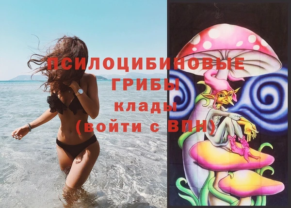 не бодяженный Алзамай