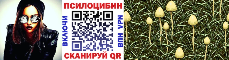 Галлюциногенные грибы ЛСД Яровое